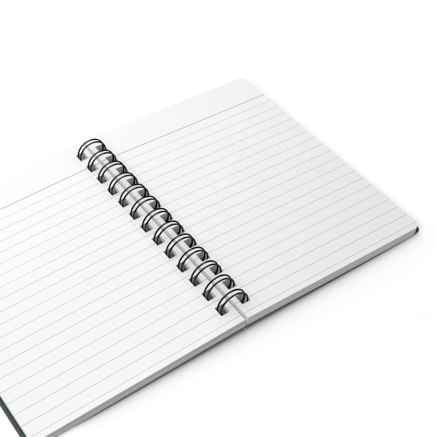 Inside lined pages of the Hopes & Dreams Manifestation Journal.